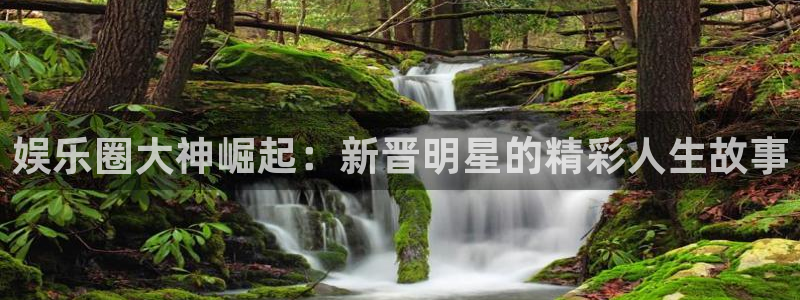 恒行5娱乐：娱乐圈大神崛起：新晋明星的精彩人生故事