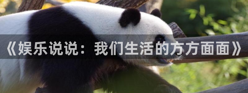 恒行5官网体验k88v典cc：《娱乐说说：我们生活的方方面面》
