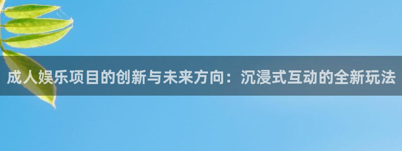 恒行5官网k88v店cc安全：成人娱乐项目的创新与未来方向：沉浸式互动的全新玩法