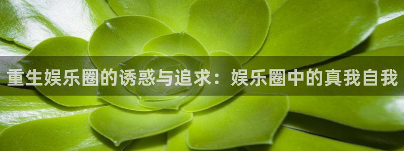恒行5官网体验k88v典cc：重生娱乐圈的诱惑与追求：娱乐圈中的真我自我