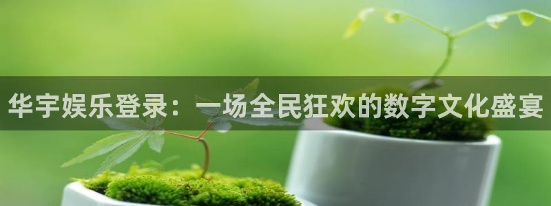 恒行5官网体验k88v典cc：华宇娱乐登录：一场全民狂欢的数字文化盛宴