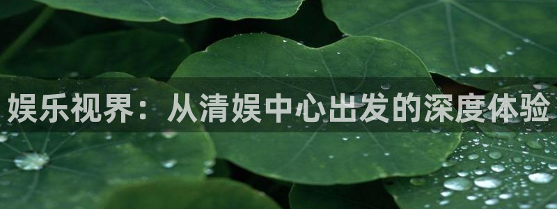 恒行5官网k88v店cc安全：娱乐视界：从清娱中心出发的深度体验