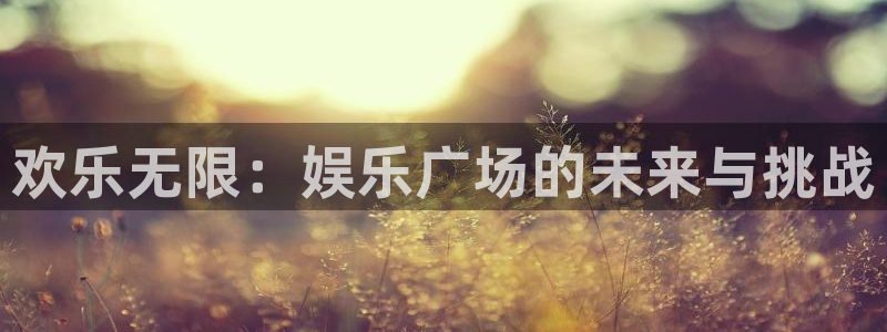 恒行5：欢乐无限：娱乐广场的未来与挑战
