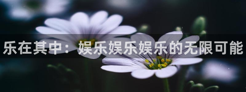 恒行5：乐在其中：娱乐娱乐娱乐的无限可能