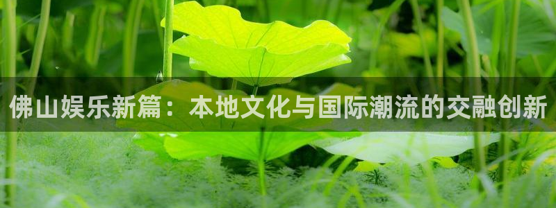恒行5官网体验k88v典cc